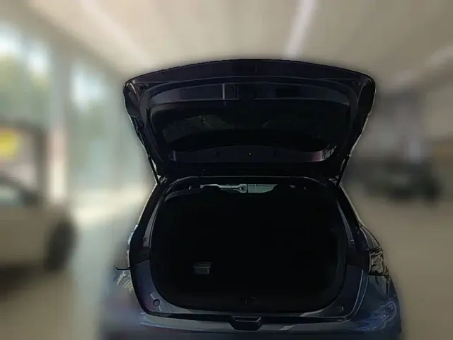 BYD Dolphin — Фото автомобиля 23