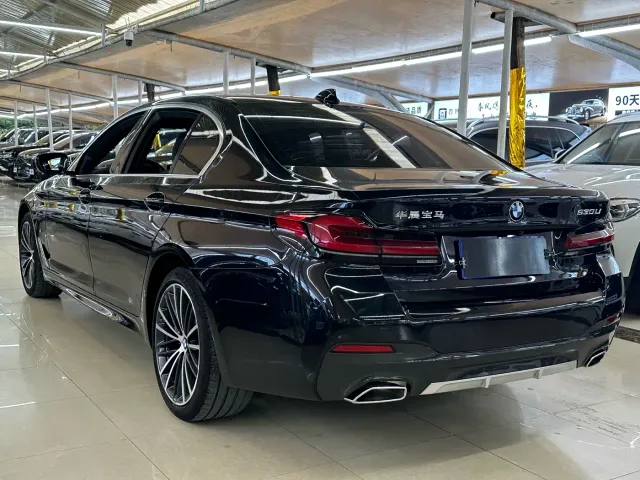 BMW 5 Series — Фото автомобиля 6