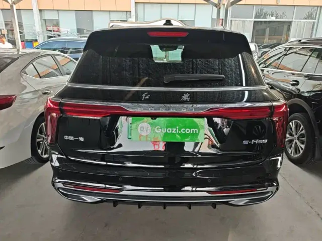 Hongqi E-HS9 — Фото автомобиля 5