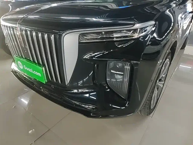 Hongqi E-HS9 — Фото автомобиля 23