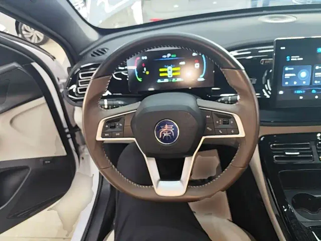 BYD Qin PLUS — Фото автомобиля 10