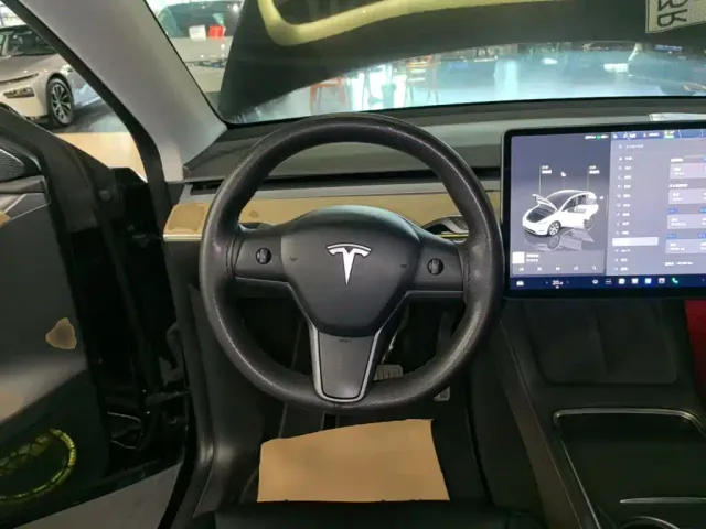 Tesla Model Y — Фото автомобиля 10
