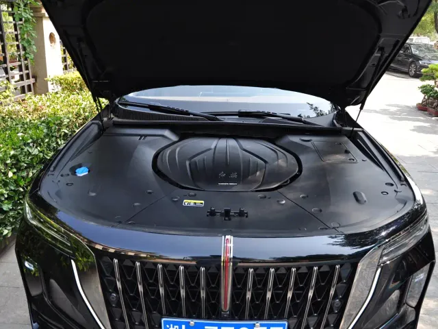 Hongqi H9 — Фото автомобиля 12