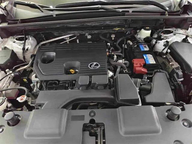Lexus NX — Фото автомобиля 11