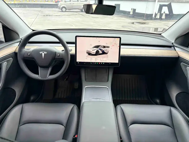 Tesla Model Y — Фото автомобиля 9