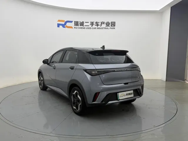 BYD Dolphin — Фото автомобиля 4