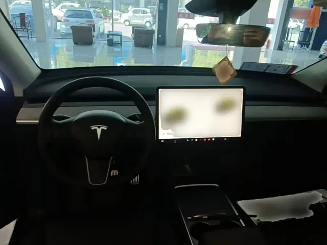 Tesla Model Y — Фото автомобиля 9