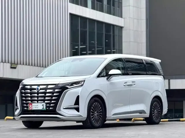 Фотография автомобиля — Denza D9