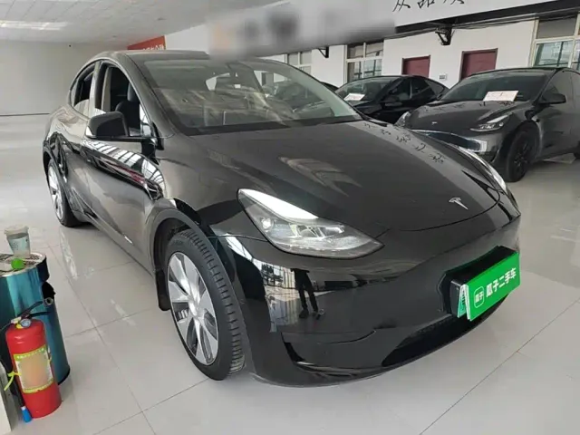Tesla Model Y — Фото автомобиля 3