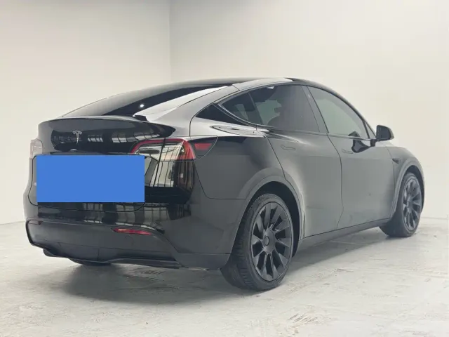 Tesla Model Y — Фото автомобиля 10