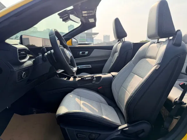 Ford Mustang — Фото автомобиля 16