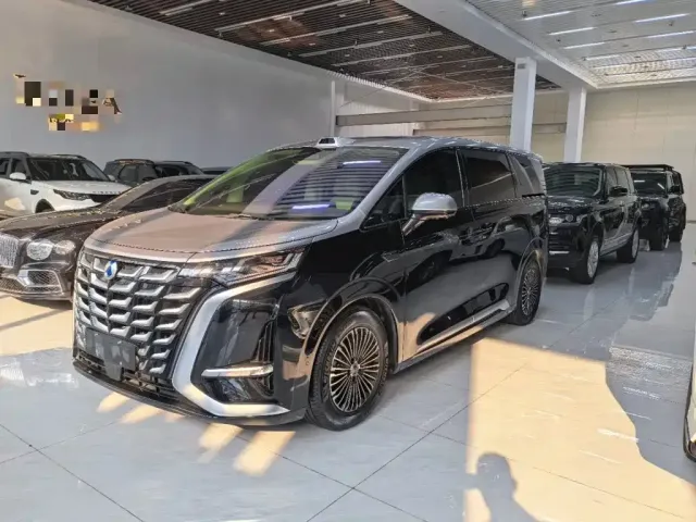 Фотография автомобиля — Denza D9