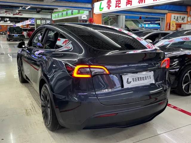 Tesla Model Y — Фото автомобиля 4