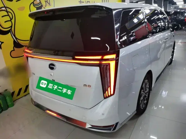 GAC Trumpchi Xiangwang M8 — Фото автомобиля 6