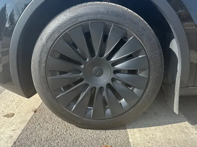 Tesla Model Y — Фото автомобиля 11
