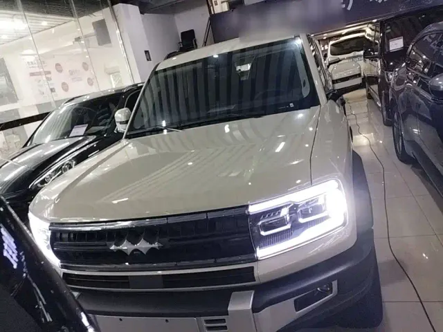 BYD FangChengBao Leopard 5 — Фото автомобиля 2
