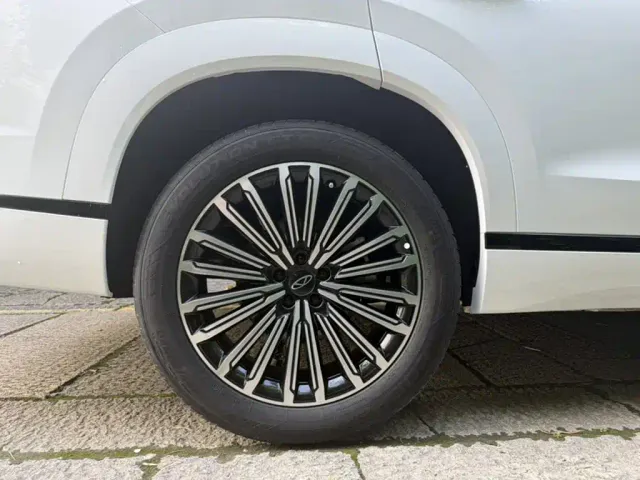 Chery Tiggo 9 — Фото автомобиля 10