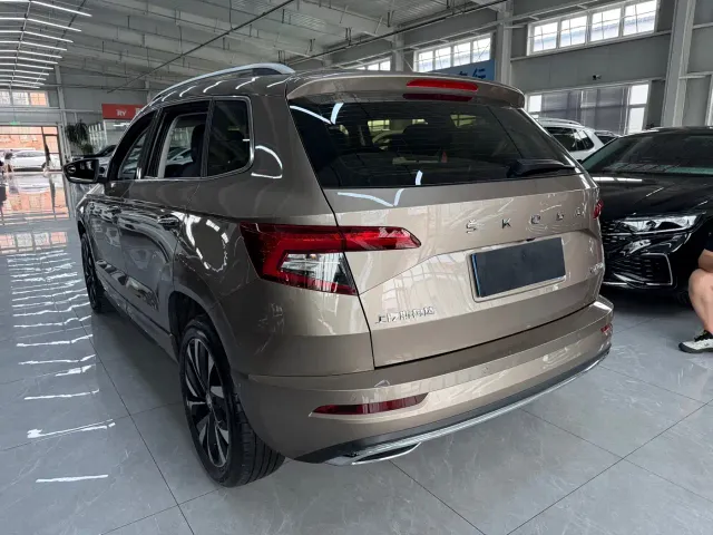 Skoda Karoq — Фото автомобиля 6