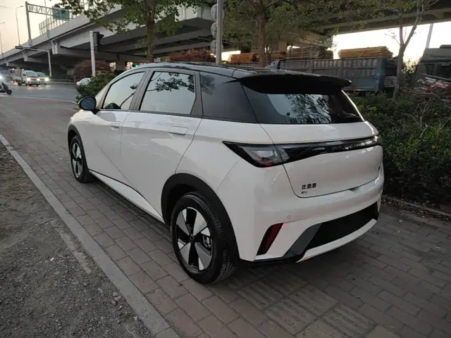 BYD Dolphin — Фото автомобиля 4