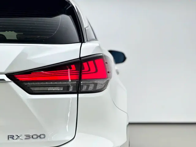 Lexus RX — Фото автомобиля 14
