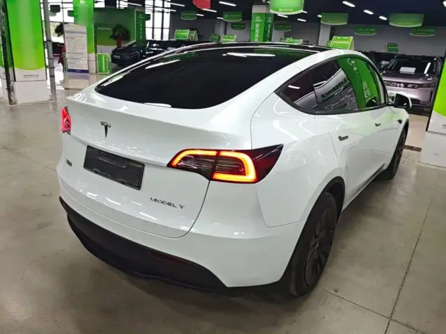 Tesla Model Y — Фото автомобиля 6