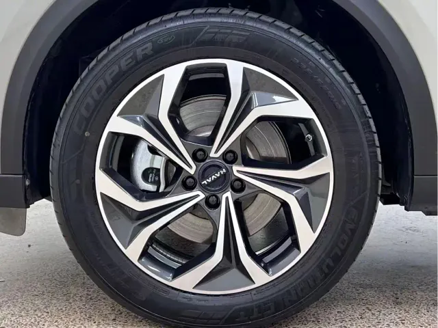 Haval Xiaolong MAX — Фото автомобиля 27