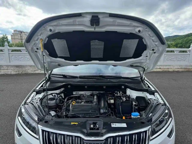 Skoda Karoq — Фото автомобиля 19
