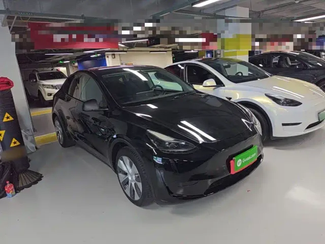Tesla Model Y — Фото автомобиля 3