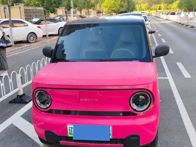 Geely Panda — Фото автомобиля 2