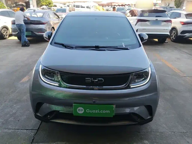 BYD Dolphin — Фото автомобиля 2