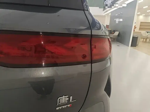 BYD Tang L — Фото автомобиля 7