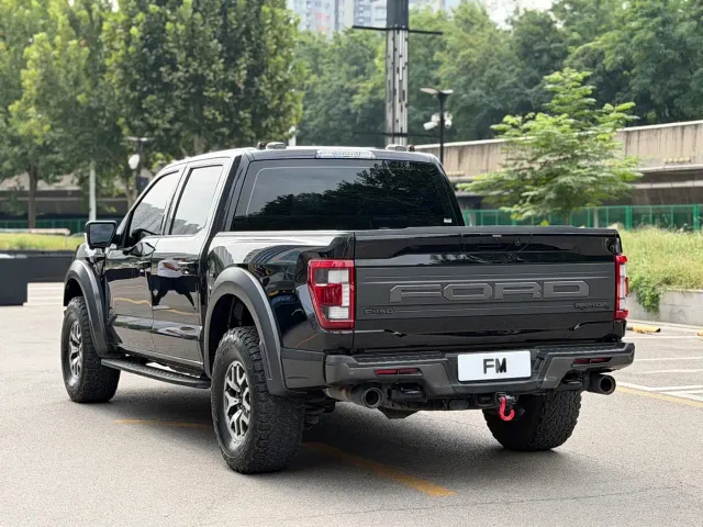 Ford F-150 Raptor — Фото автомобиля 19