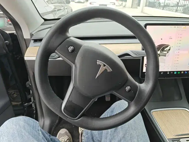Tesla Model Y — Фото автомобиля 10