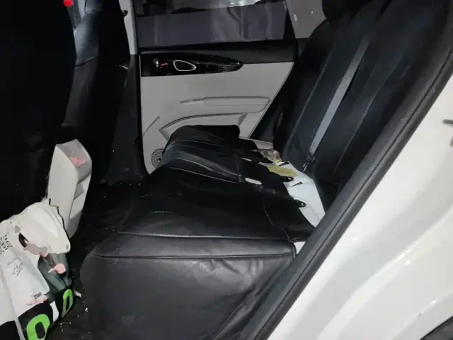 Geely Starry Wish — Фото автомобиля 13