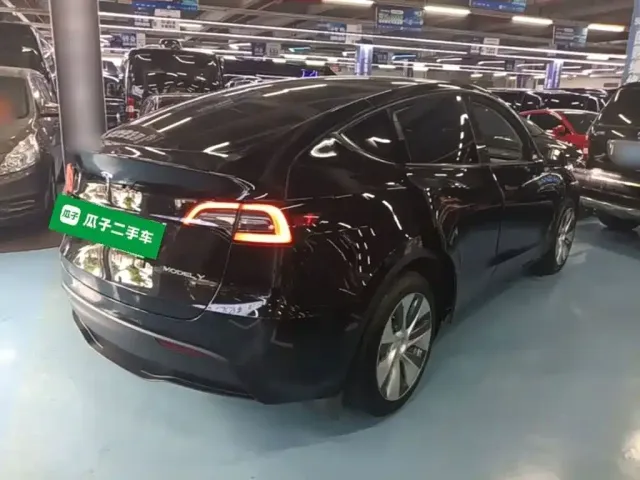 Tesla Model Y — Фото автомобиля 4