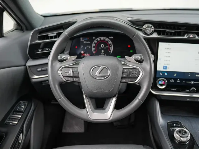 Lexus RZ — Фото автомобиля 18