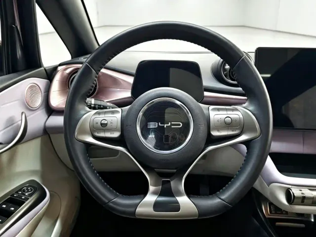 BYD Dolphin — Фото автомобиля 10