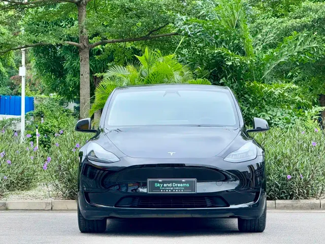Tesla Model Y — Фото автомобиля 2