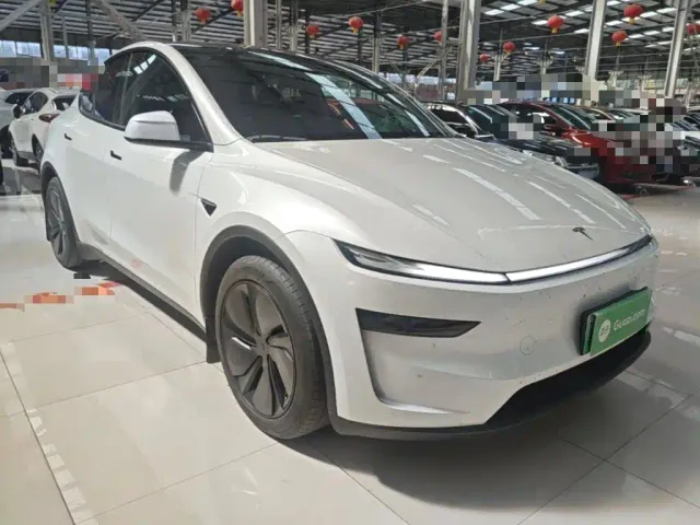 Tesla Model Y — Фото автомобиля 3
