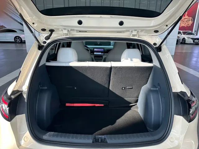 Geely Starry Wish — Фото автомобиля 15