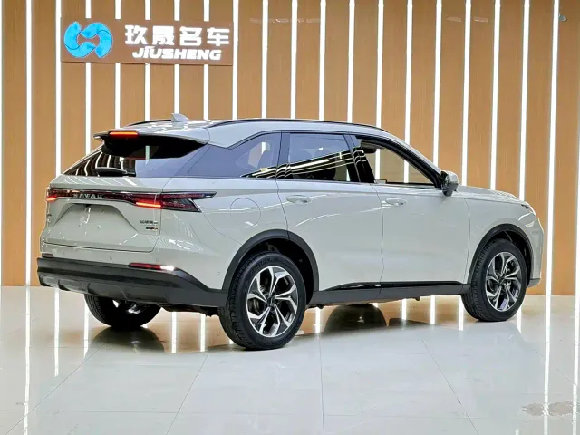 Haval Xiaolong MAX — Фото автомобиля 21