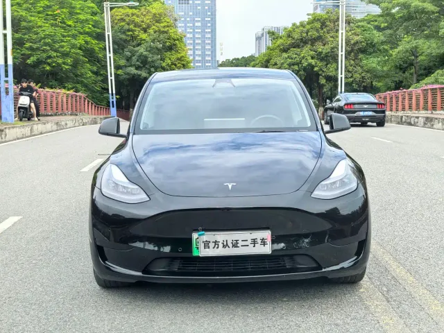 Tesla Model Y — Фото автомобиля 2
