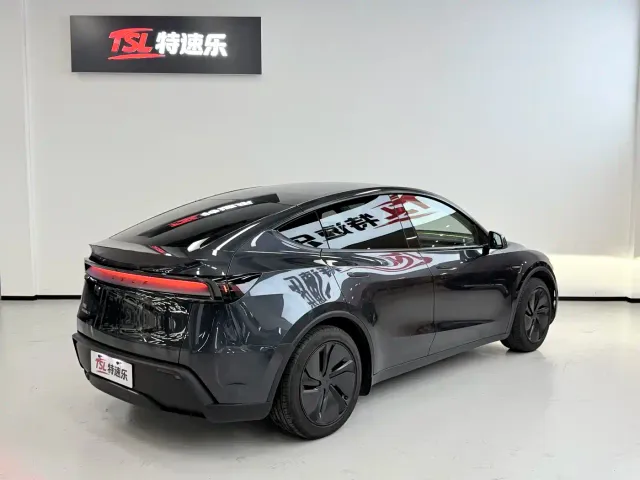 Tesla Model Y — Фото автомобиля 16
