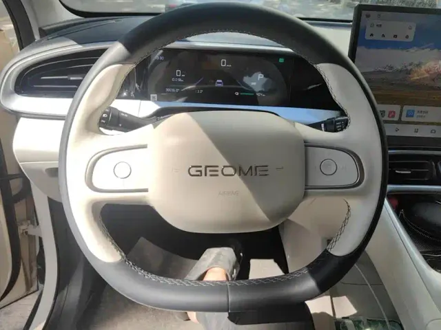 Geely Starry Wish — Фото автомобиля 15