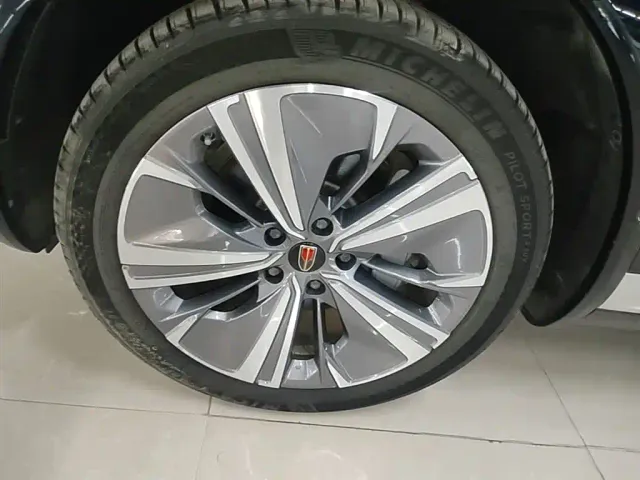 Hongqi E-HS9 — Фото автомобиля 22