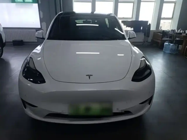 Tesla Model Y — Фото автомобиля 2