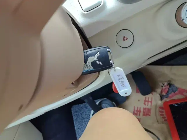 Wuling Hongguang Mini EV — Фото автомобиля 8