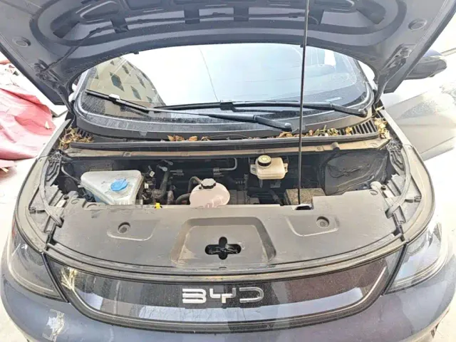 BYD Dolphin — Фото автомобиля 19