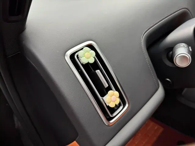 Li Auto L8 — Фото автомобиля 14