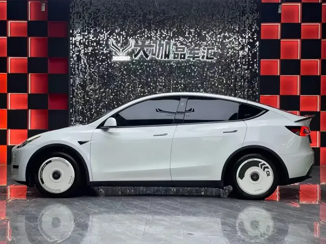 Tesla Model Y — Фото автомобиля 3